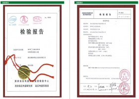 10KV电缆分支箱西高所检测报告