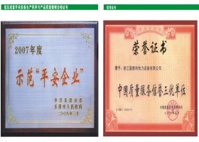 平安企业/荣誉证书